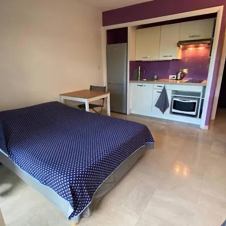Apartamento Location Studio Rdj Calme Piscines Et Acces Plages A Pieds